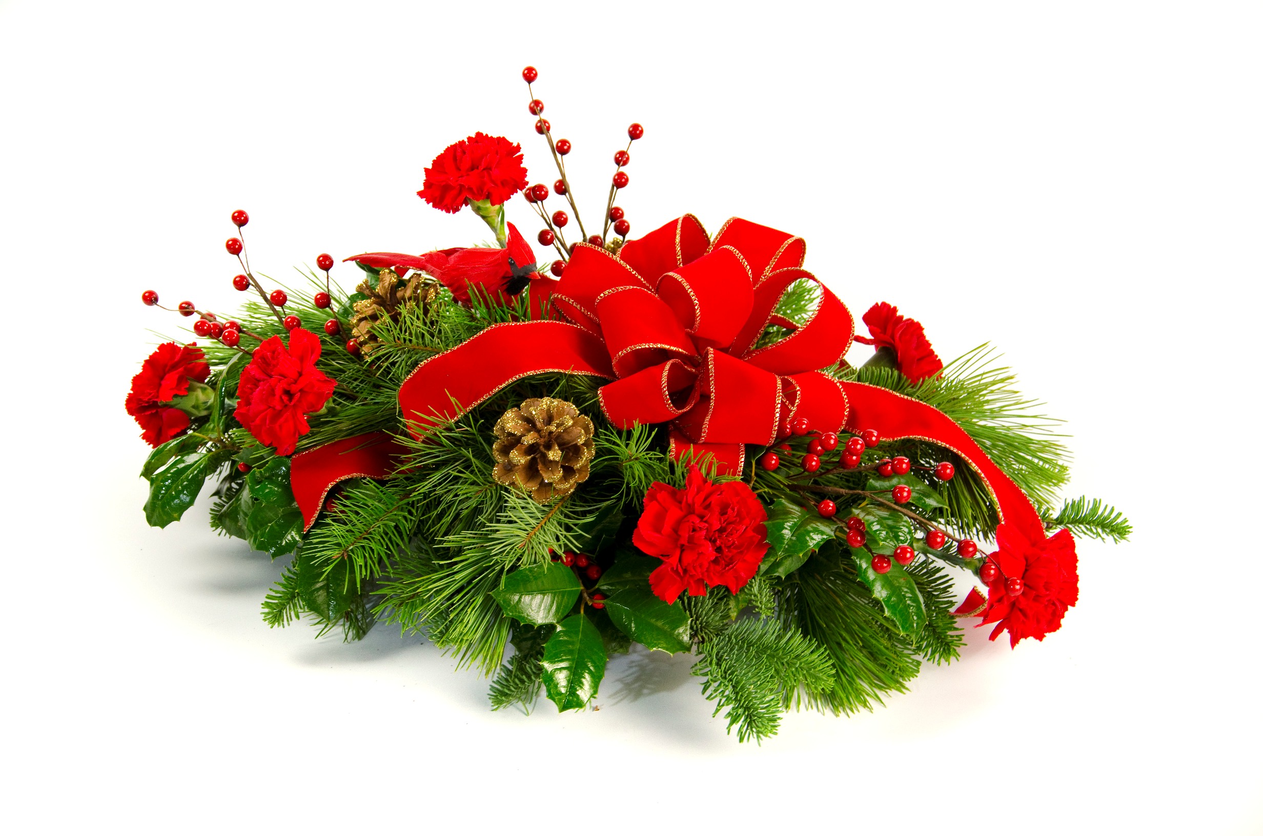 <b>Notice</b>: Undefined index: name in <b>/home/stranges/public_html/shop/vqmod/vqcache/vq2-catalog_view_theme_default_template_product_search.tpl</b> on line <b>386</b>